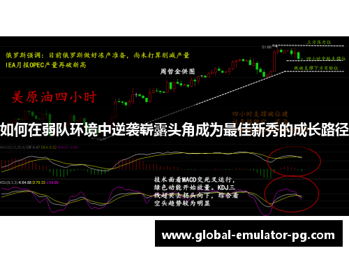 如何在弱队环境中逆袭崭露头角成为最佳新秀的成长路径
